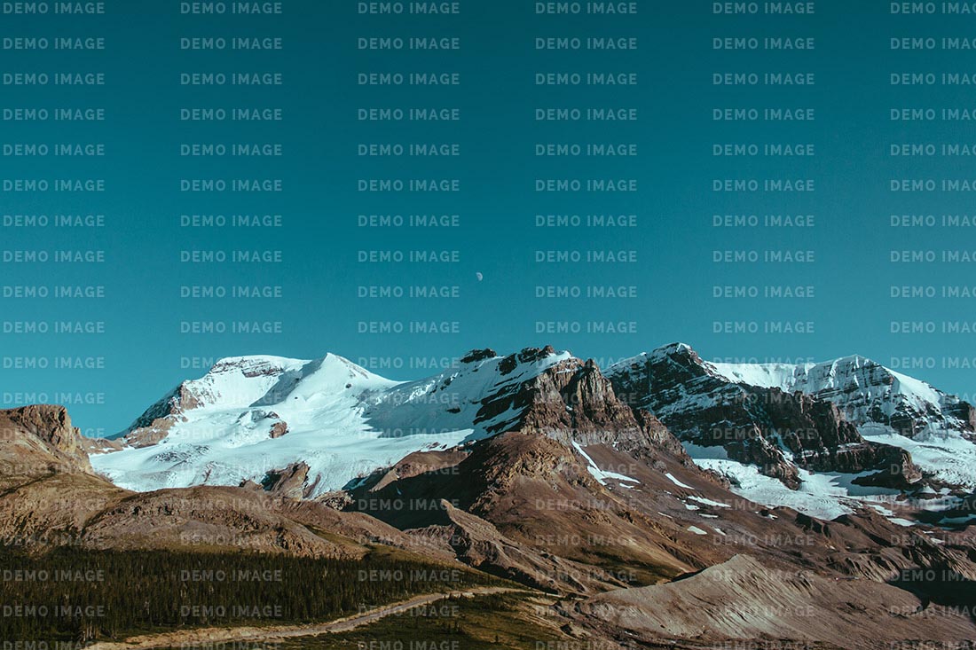 This Week in Design: July 18, 2014